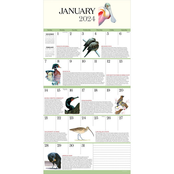 2024 What It's Like To Be A Bird Wall Calendar
