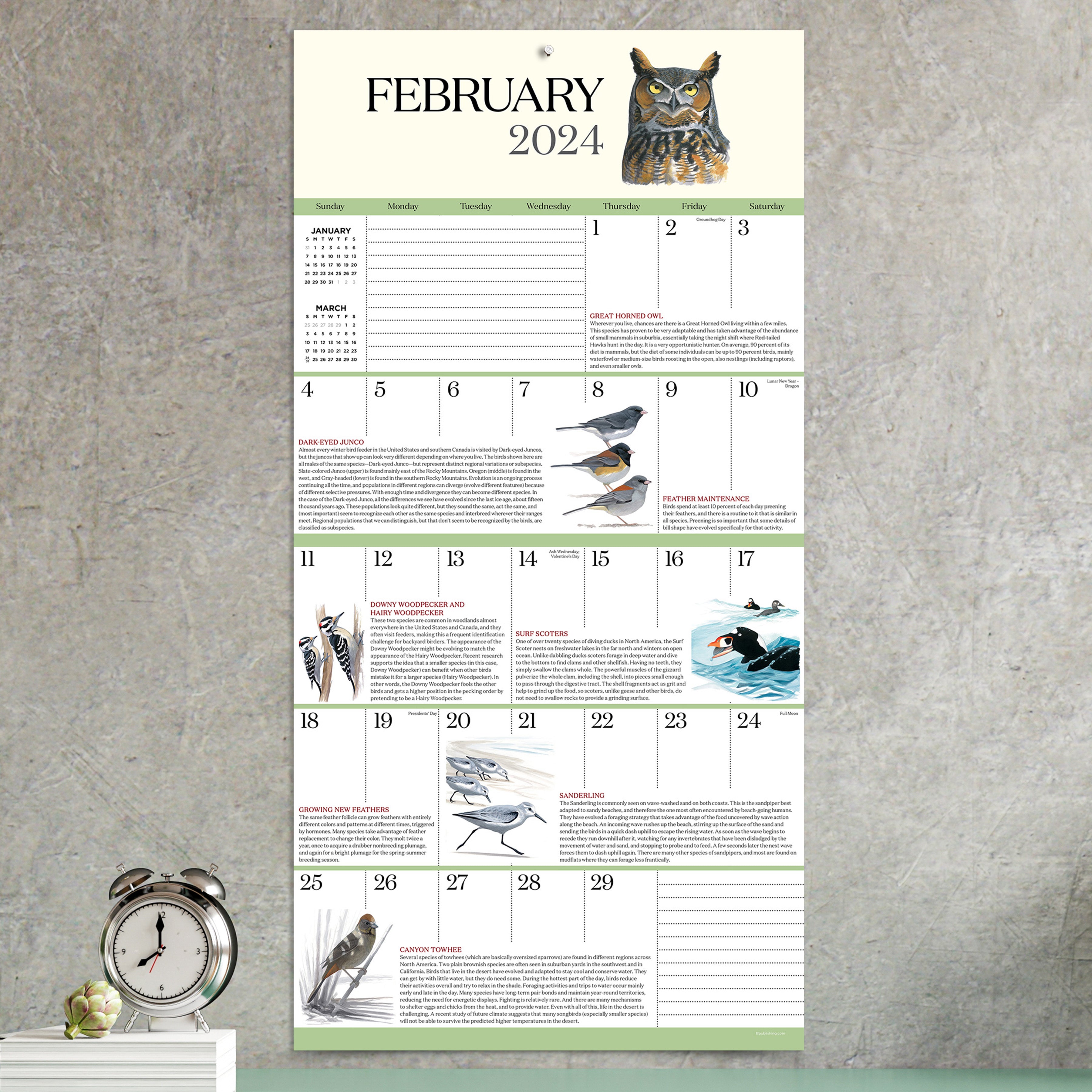 2024 What It's Like To Be A Bird Wall Calendar-3