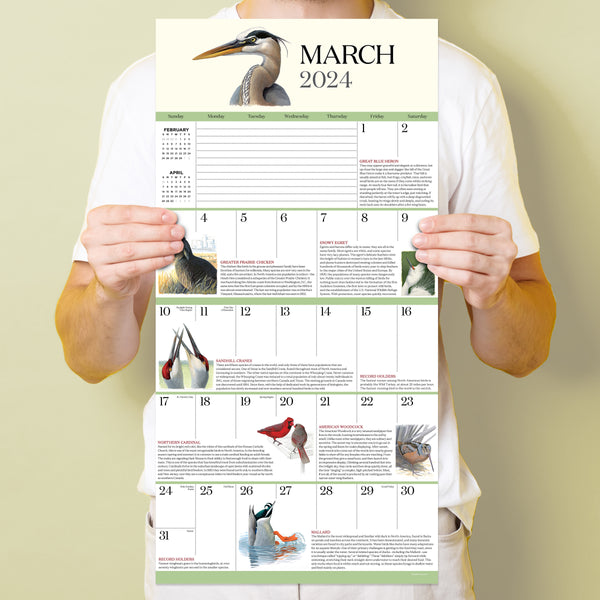 2024 What It's Like To Be A Bird Wall Calendar