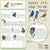 2024 What It's Like To Be A Bird Wall Calendar