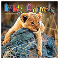 2024 Baby Animals Mini Calendar