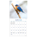 2024 Backyard Birds Mini Calendar