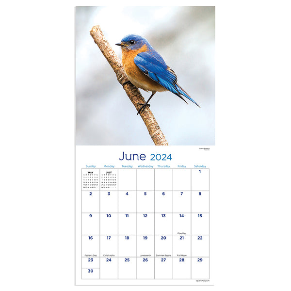 2024 Backyard Birds Mini Calendar