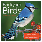 2024 Backyard Birds Mini Calendar