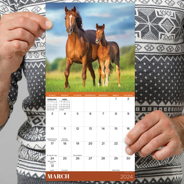 2024 Horses Mini Calendar