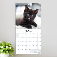 2024 Kittens Mini Calendar