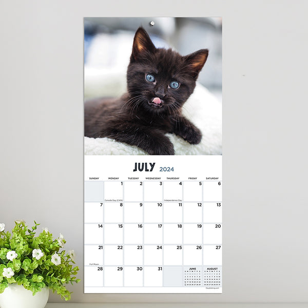 2024 Kittens Mini Calendar
