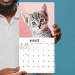 2024 Kittens Mini Calendar