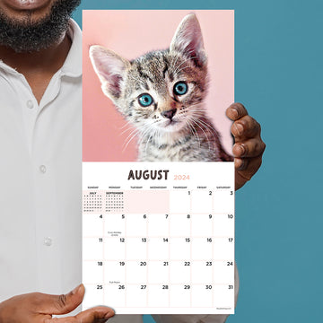 2024 Kittens Mini Calendar
