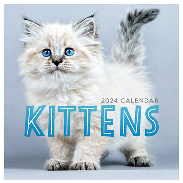 2024 Kittens Mini Calendar
