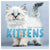 2024 Kittens Mini Calendar