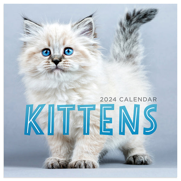 2024 Kittens Mini Calendar