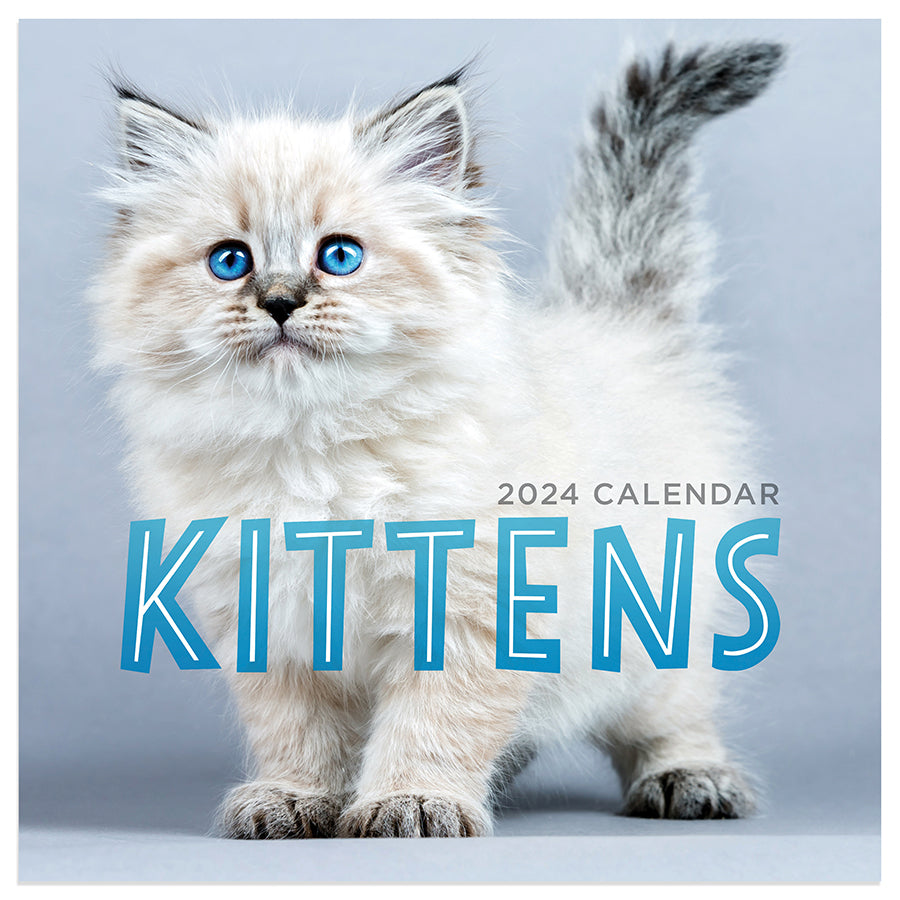 The Artful Cat 2024 Weekly Planner, Travel-Size 12-Month Calendar, Compact 5 x 7