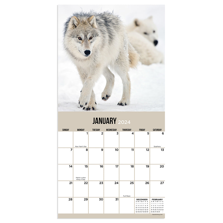 2024 Wolves Mini Calendar-6