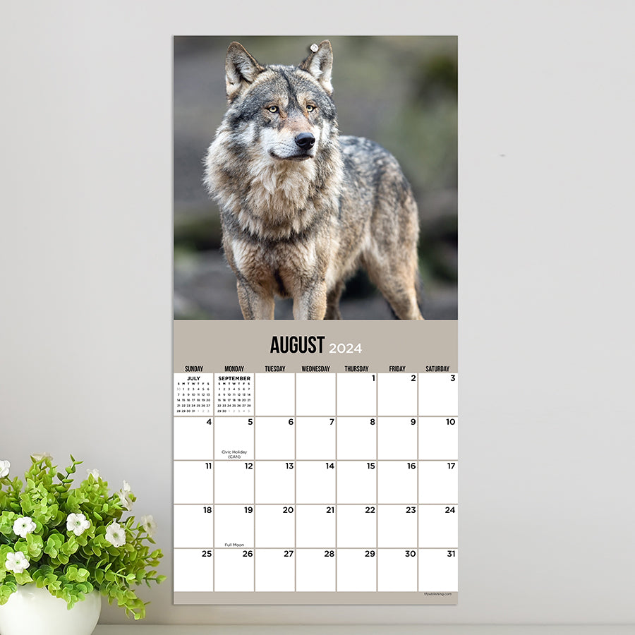 2024 Wolves Mini Calendar-3