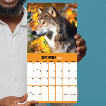 2024 Wolves Mini Calendar