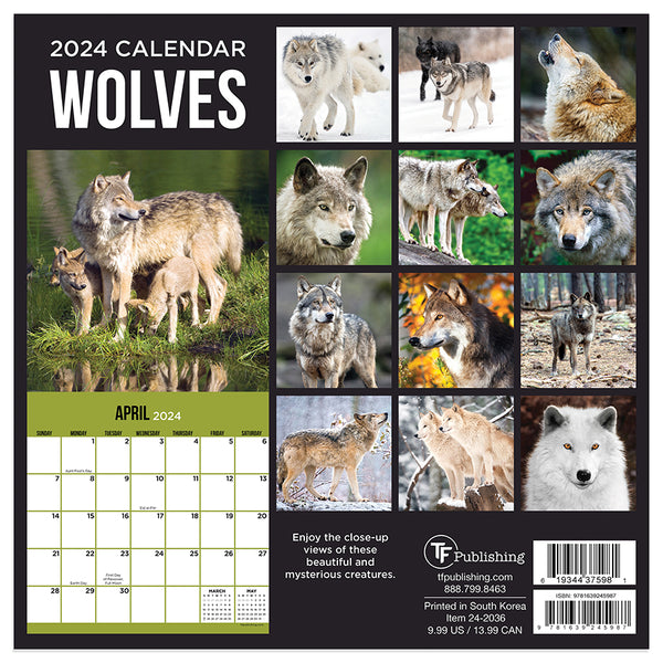 2024 Wolves Mini Calendar