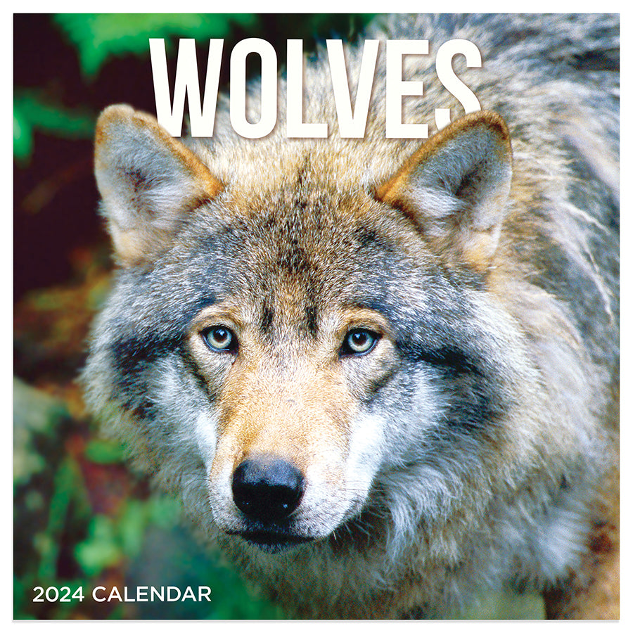 2024 Wolves Mini Calendar TF Publishing Calendars + Planners