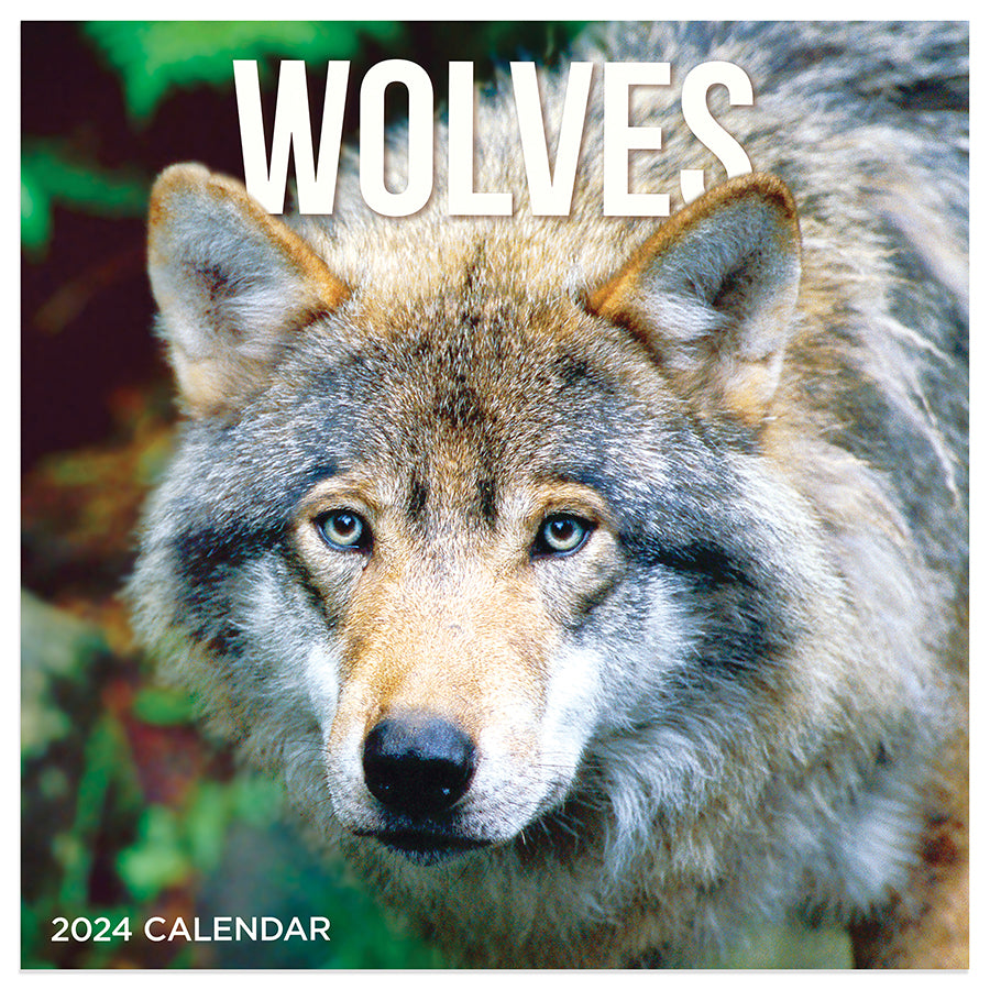 2025 Wolves Mini Calendar TF Publishing Calendars + Planners