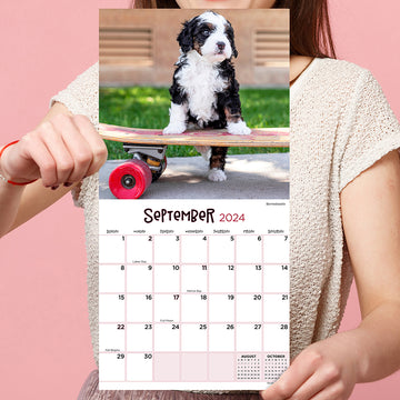 2024 Puppies Mini Calendar