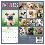 2024 Puppies Mini Calendar