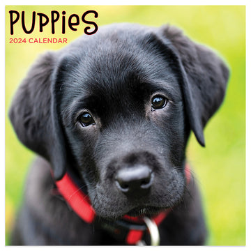 2024 Puppies Mini Calendar