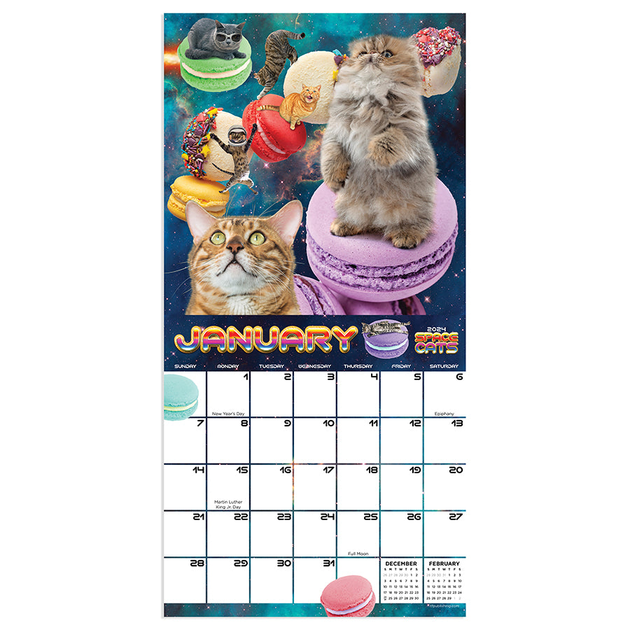2024 Space Cats Mini Calendar-5