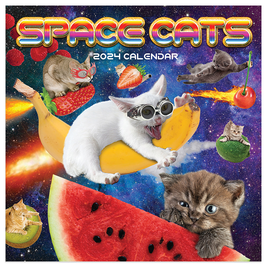 2024 Space Cats Mini Calendar-1