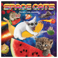 2024 Space Cats Mini Calendar