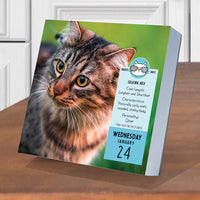 2024 Cat A Day Daily Desktop Calendar