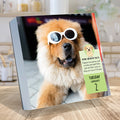 2024 Dog A Day Daily Desktop Calendar