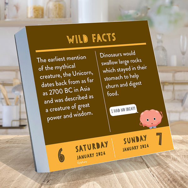 2024 Smarty Pants Daily Desktop Calendar