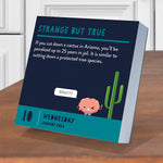 2024 Smarty Pants Daily Desktop Calendar