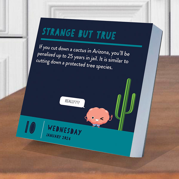 2024 Smarty Pants Daily Desktop Calendar