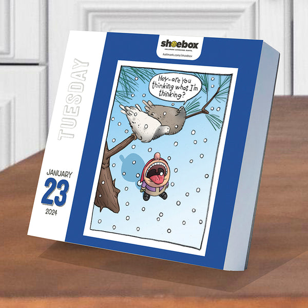 2024 Shoebox Daily Desktop Calendar