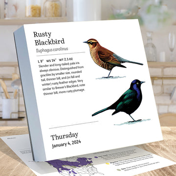 2024 Birds: Backyard & Beyond Daily Desktop Calendar