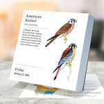 2024 Birds: Backyard & Beyond Daily Desktop Calendar