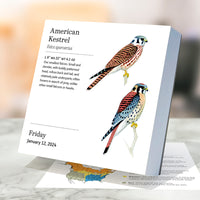 2024 Birds: Backyard & Beyond Daily Desktop Calendar