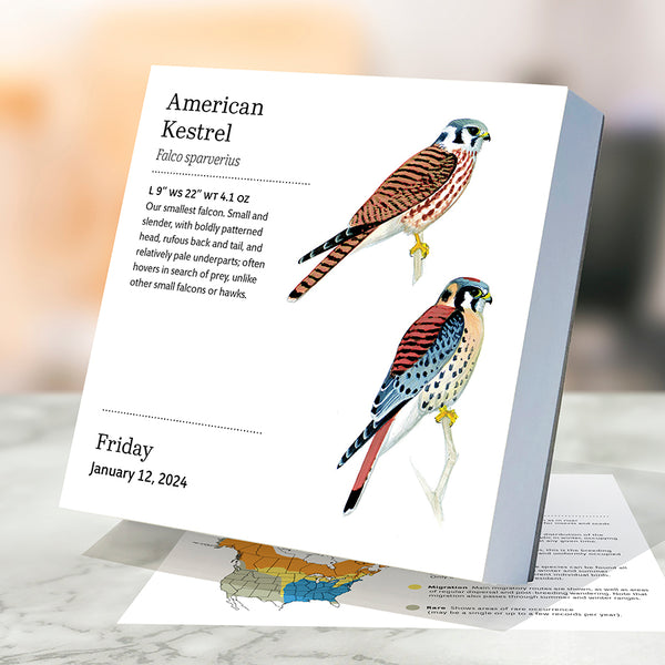 2024 Birds: Backyard & Beyond Daily Desktop Calendar