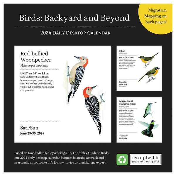 2024 Birds: Backyard & Beyond Daily Desktop Calendar