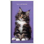 2024-2025 Kitten Small Monthly Pocket Planner