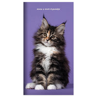 2024-2025 Kitten Small Monthly Pocket Planner
